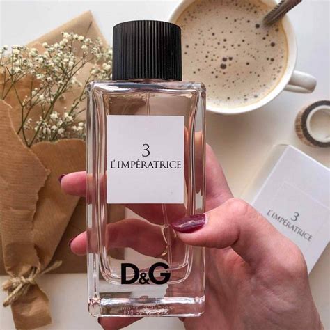 gucci l'imperatrice|l'imperatrice 3 d&g.